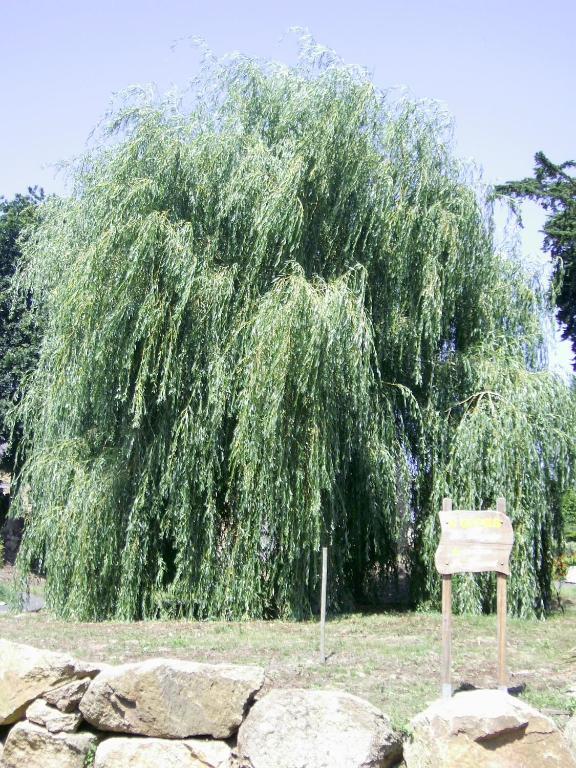 Villa La Bergerie Camlez Esterno foto